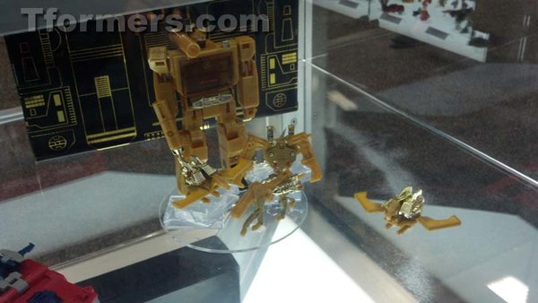 Transformers Sdcc 2013 Preview Night  (229 of 306)